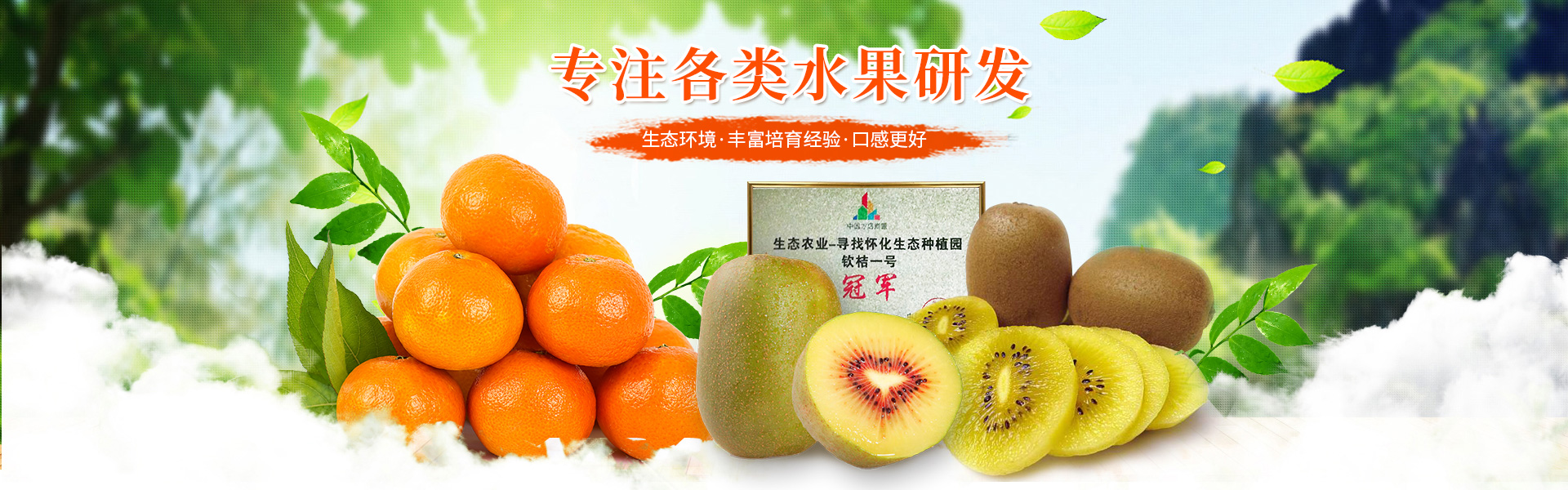洪江花卉種植_洪江市全星花果研發有限公司
