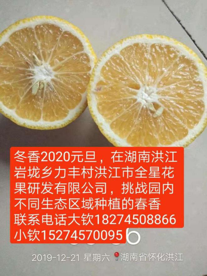 洪江花卉種植,果樹種植,水稻研種,洪江市全星花果研發有限公司
