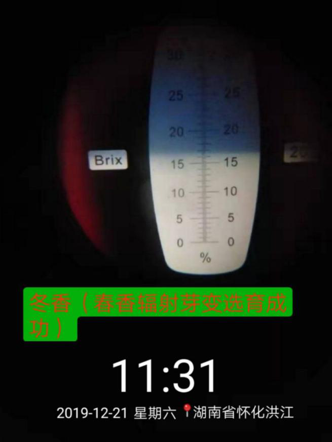 洪江花卉種植,果樹種植,水稻研種,洪江市全星花果研發有限公司