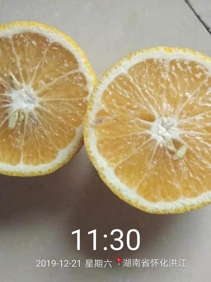 洪江花卉種植,果樹種植,水稻研種,洪江市全星花果研發有限公司