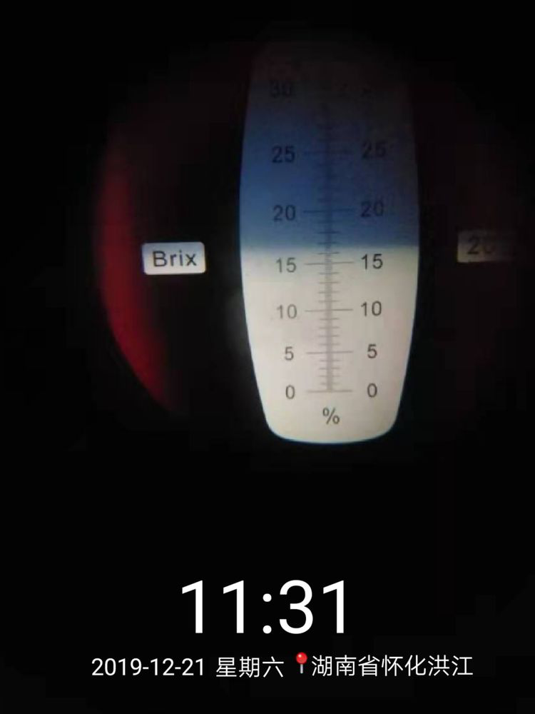 洪江花卉種植,果樹種植,水稻研種,洪江市全星花果研發有限公司
