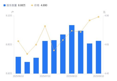中泰化學A股股東結構變動分析 戶數增加，持股集中度略降